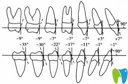牙齒唇向傾斜、舌向傾斜范圍