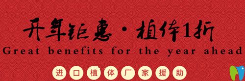 杭州美萊口腔開年鉅惠，植體1折種僅限前50名欲報(bào)從速哦！