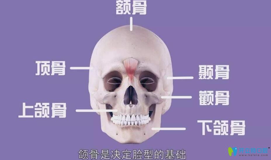 盡頭牙拔了臉型會(huì)變嗎