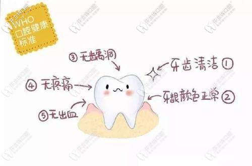 正常的牙齒狀態(tài)