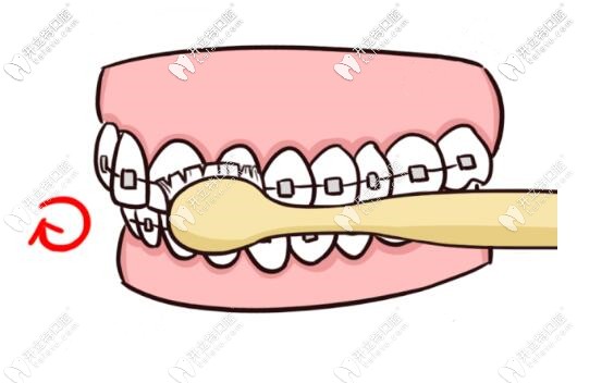 每個(gè)牙齒都要刷到