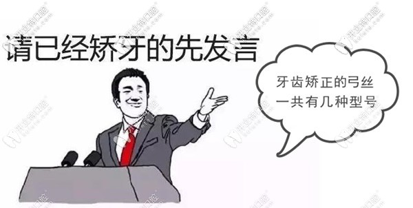 牙齒矯正的弓絲一共有幾種型號(hào)