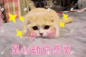 沒有領到獎怎么辦