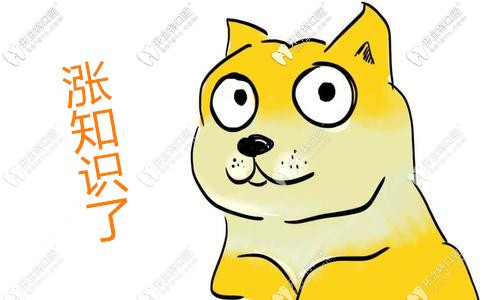 成都全瓷牙價格表