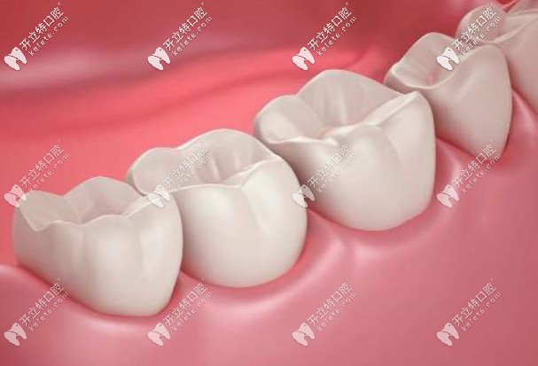 國產(chǎn)的滬鴿美晶瓷和瓷倍健哪個好？價格各是多少？