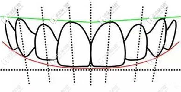 那你知道人類的牙齒是多長(zhǎng)嗎？