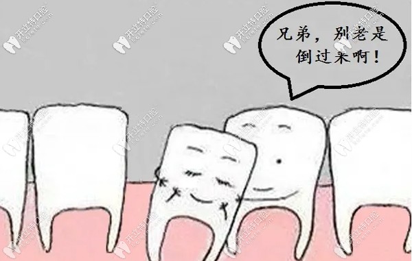 牙齒松動了如何處理