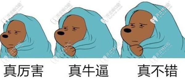 鼎植口腔種植牙技術不錯