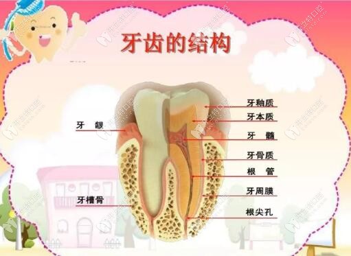 牙髓炎會(huì)自愈嗎?別傻了必須要做根管治療否則后果你想不到