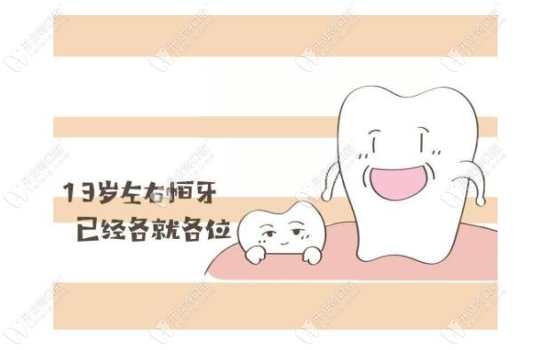 13歲的兒童恒壓就長出來了